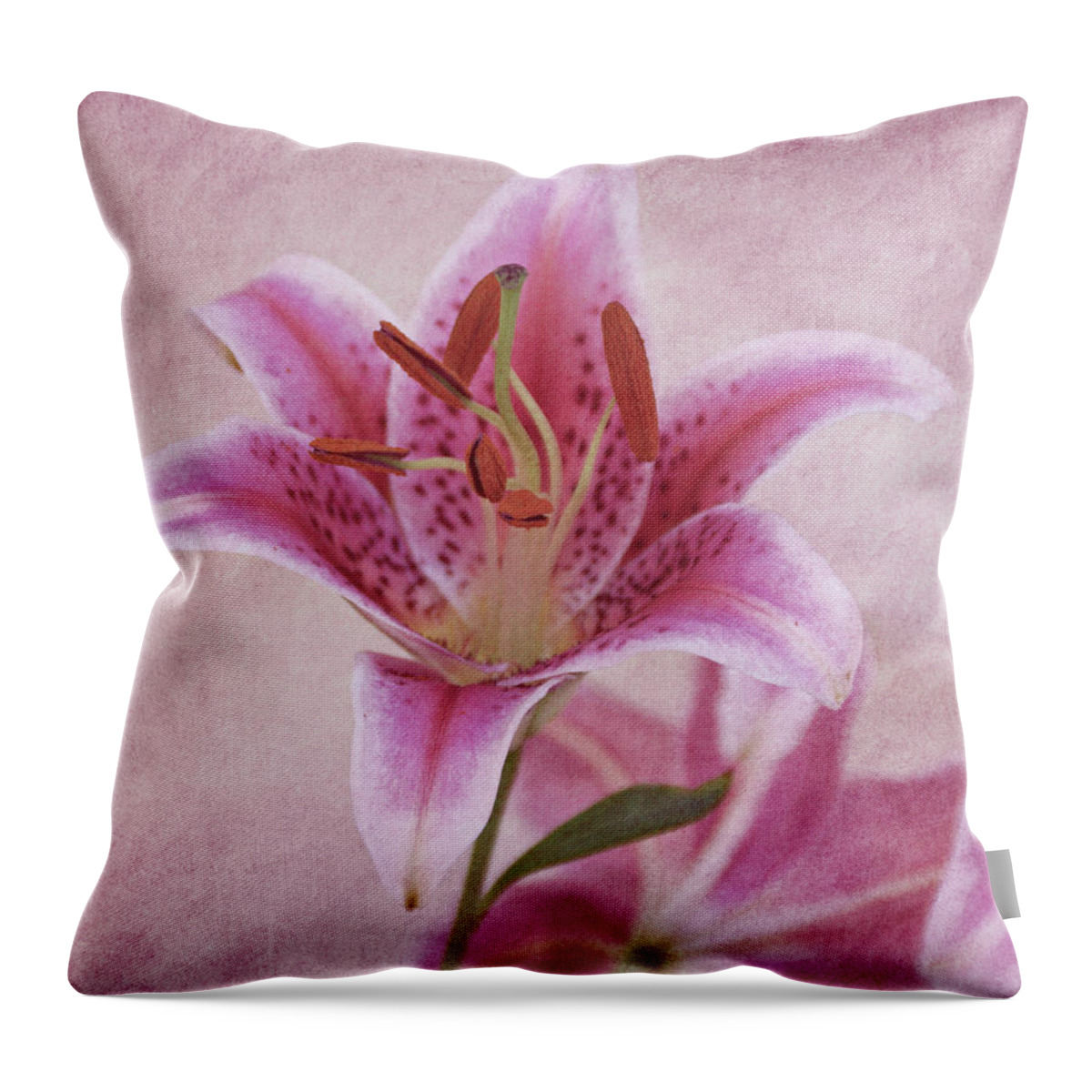 Lily Throw Pillow featuring the photograph Stargazer Lily by Sandy Keeton