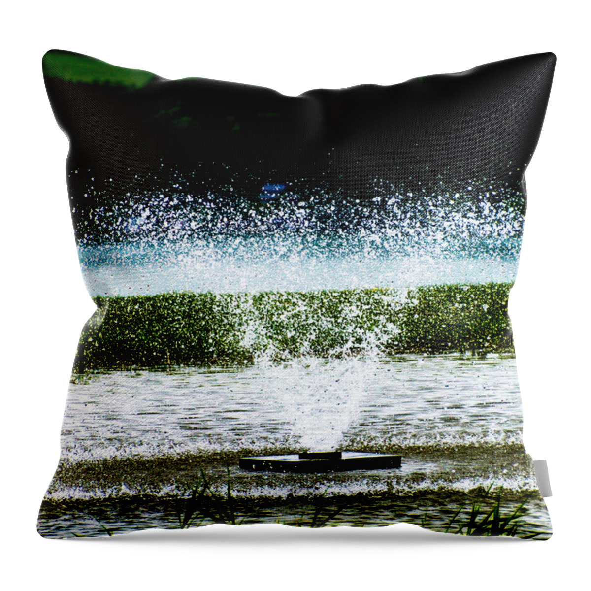 Water Throw Pillow featuring the photograph Starkey's Fountain by William Norton
