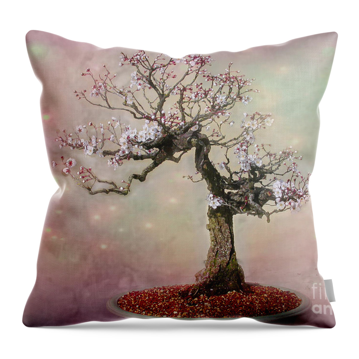 Plum Throw Pillow featuring the photograph Starlight Surrounds Her by Marilyn Cornwell