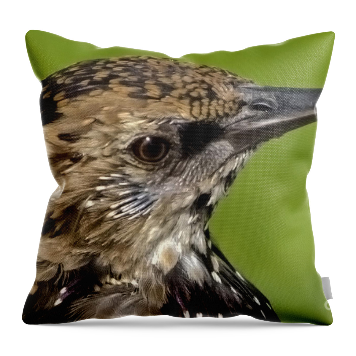 Starling Throw Pillow featuring the photograph Starling Profile by Linsey Williams