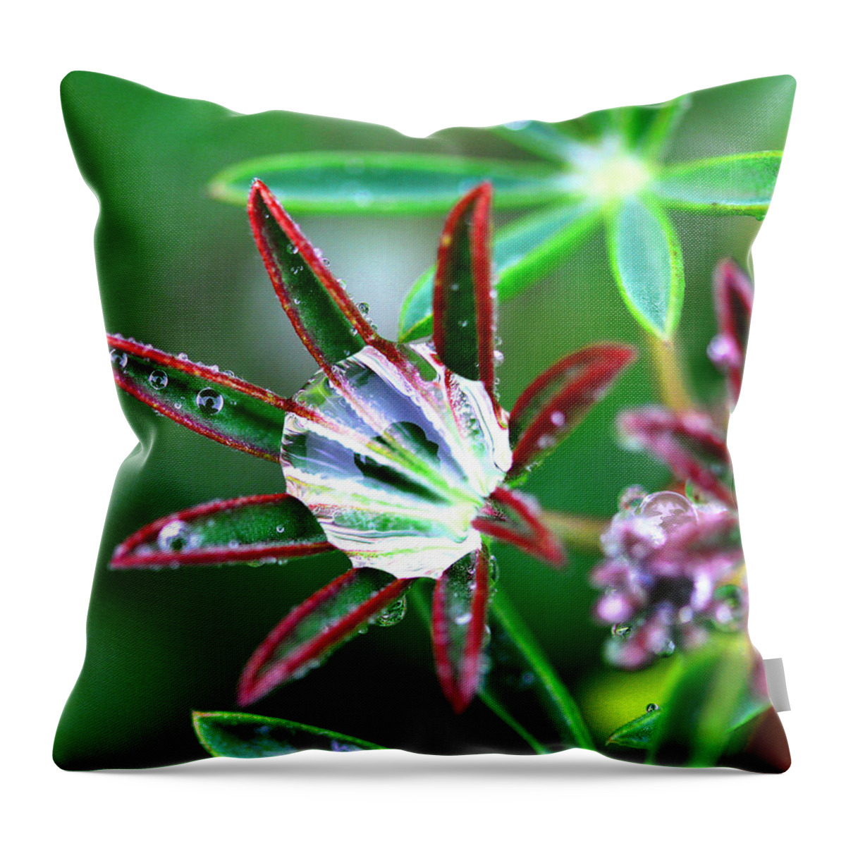 Rain Throw Pillow featuring the photograph Starry Droplets by Marie Jamieson