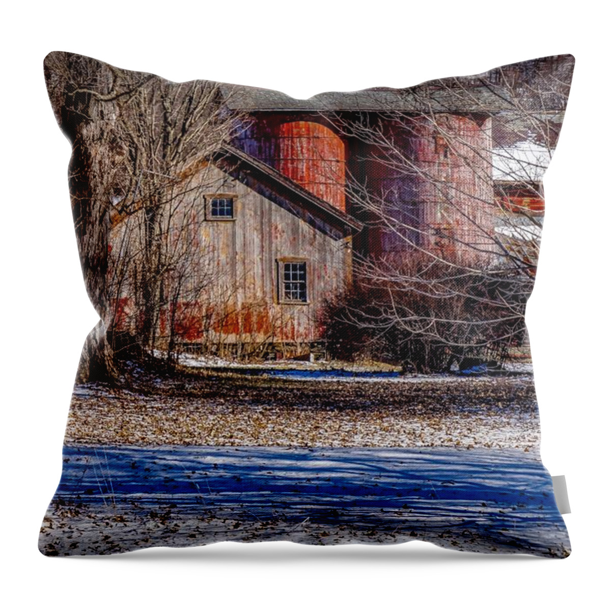  Throw Pillow featuring the photograph Starting to see red by Kendall McKernon