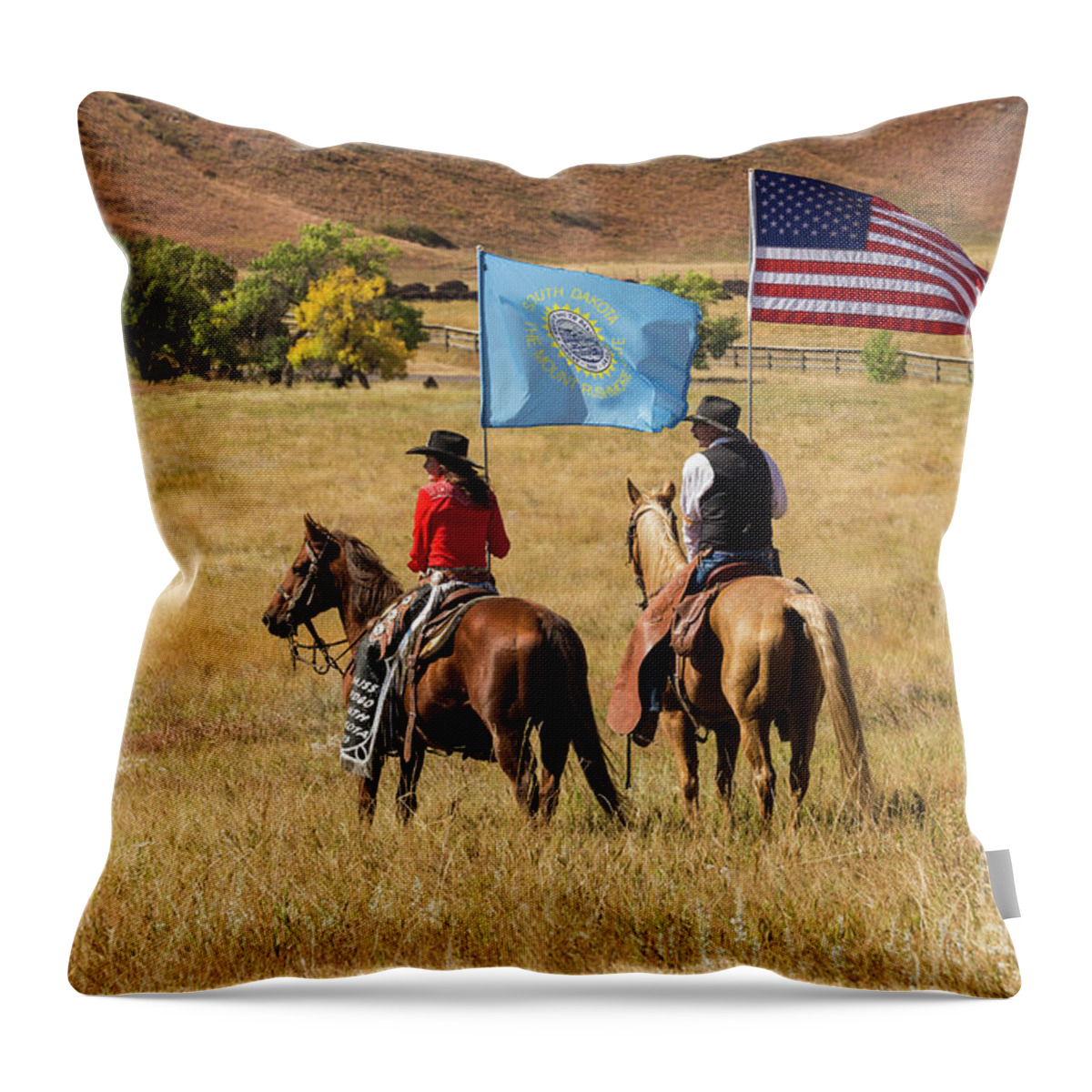 South Dakota Throw Pillow featuring the photograph State and Country by Steve Triplett