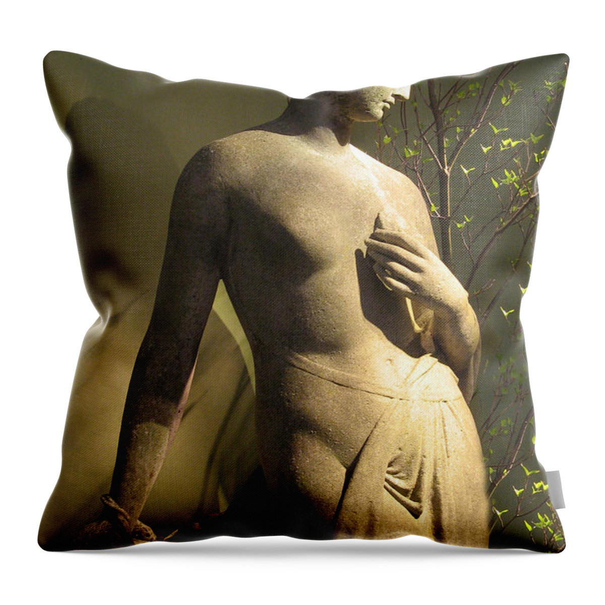 Statue Throw Pillow featuring the photograph Statuesque by Jessica Jenney