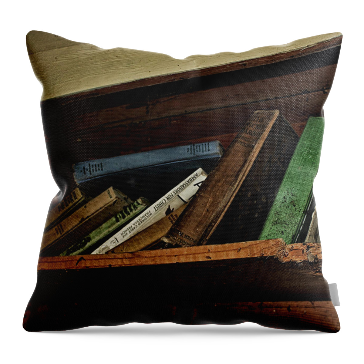 Haunted Throw Pillow featuring the photograph Stay a while and listen by Ryan Crouse