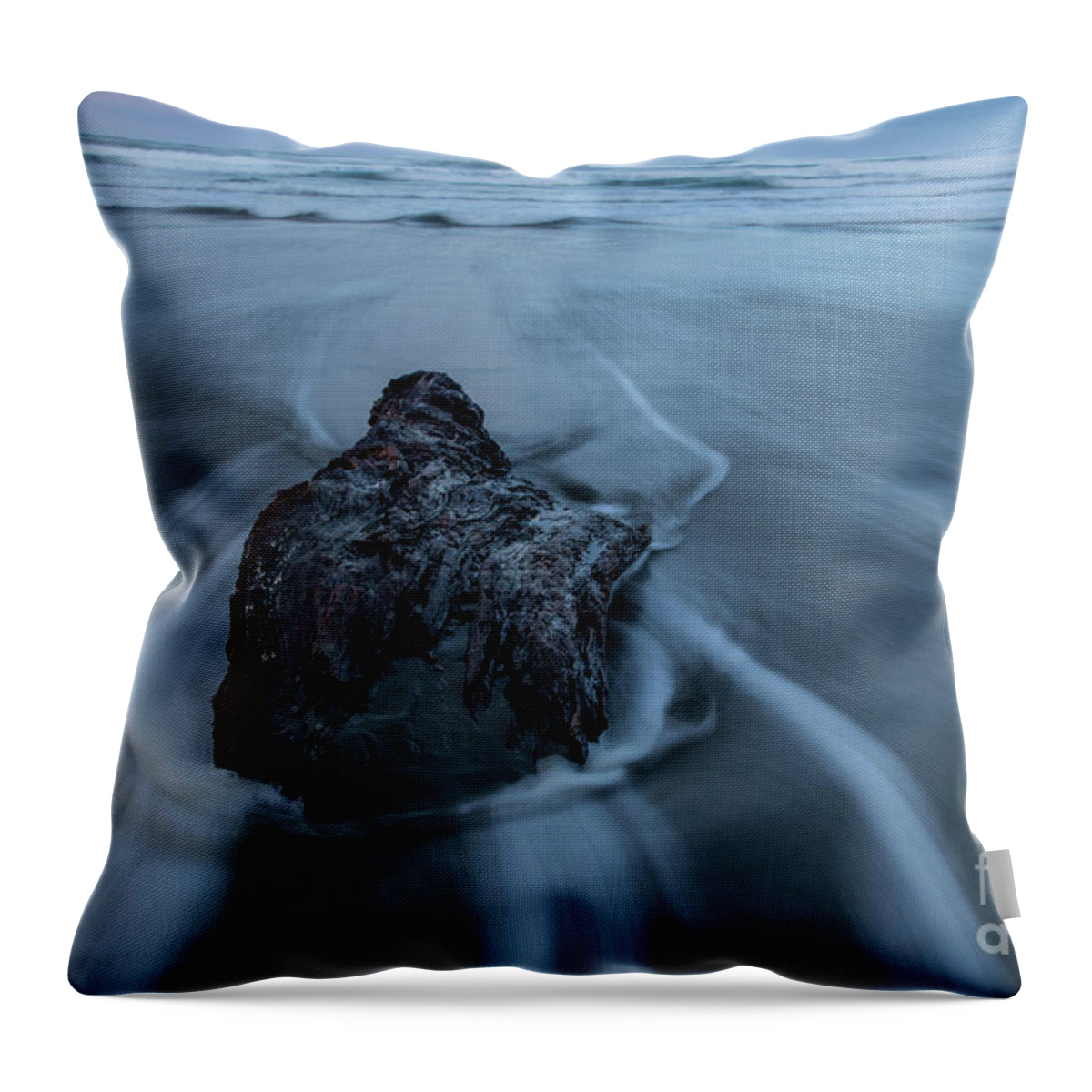 Seascape Throw Pillow featuring the digital art Steadfast by Phil Dyer