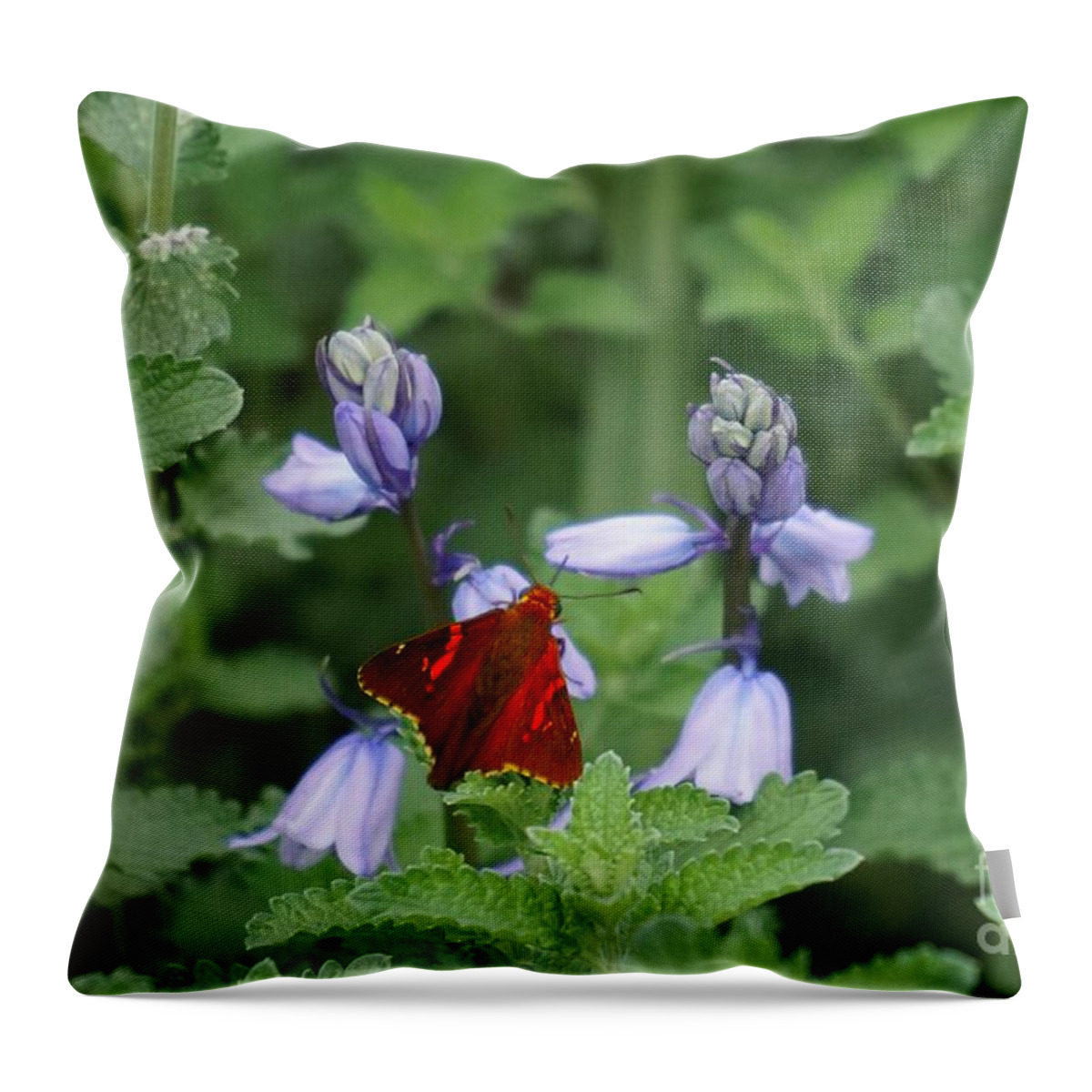 Flowers Throw Pillow featuring the photograph Stealth flyer by Merle Grenz