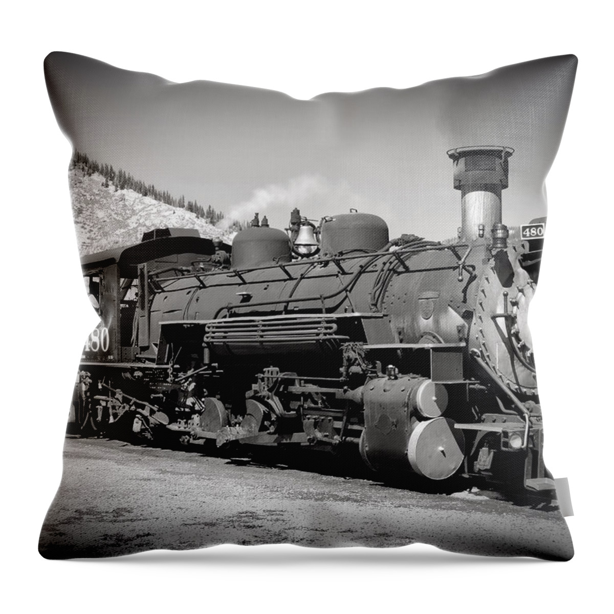 Home Throw Pillow featuring the photograph Steam Engine 480 by Richard Gehlbach