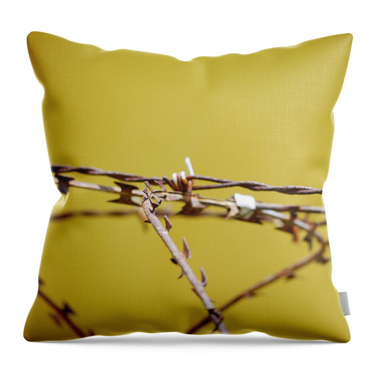 Richard Reeve Throw Pillow featuring the photograph Steel Thorns by Richard Reeve