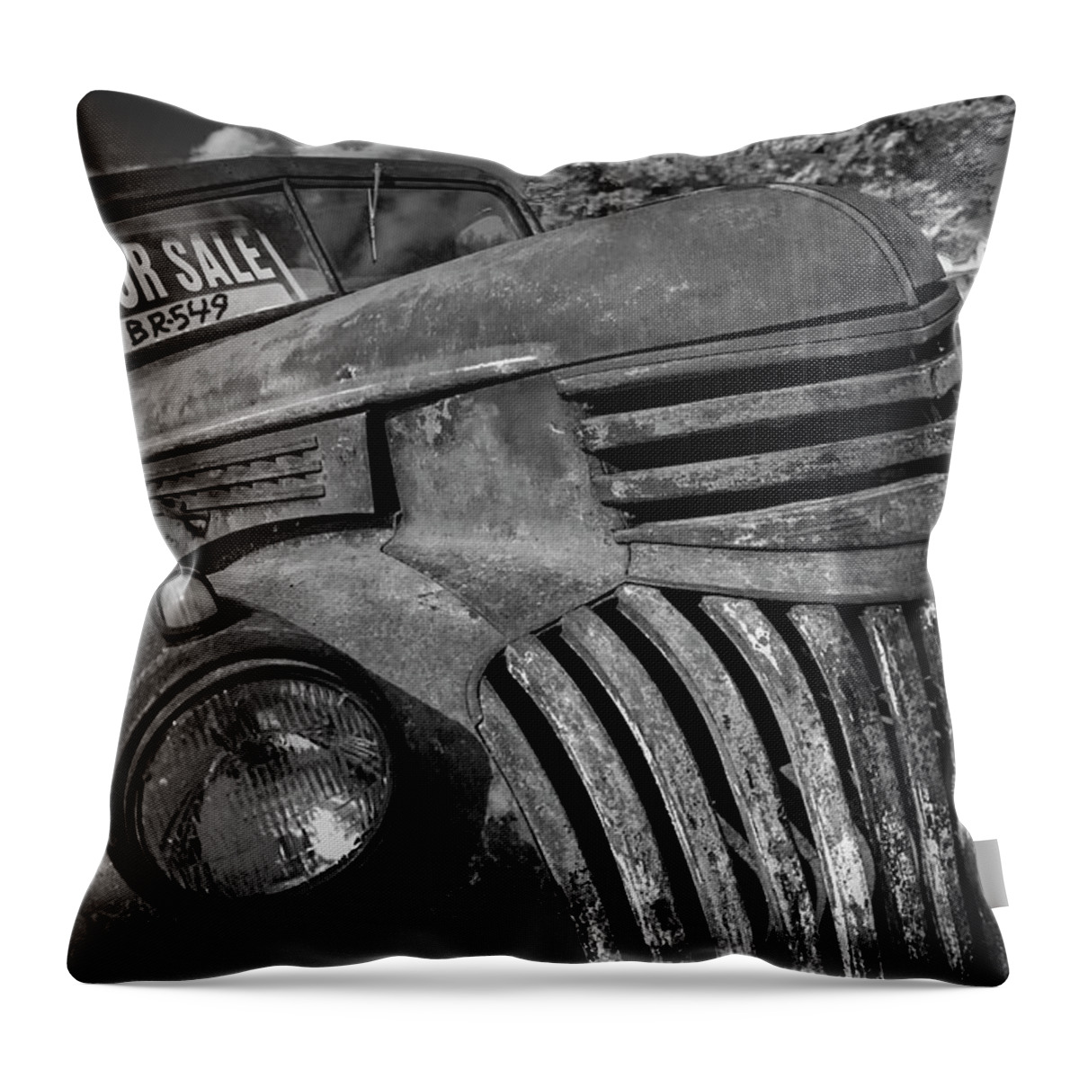Rust Throw Pillow featuring the photograph Steel Treasure by Ray Congrove