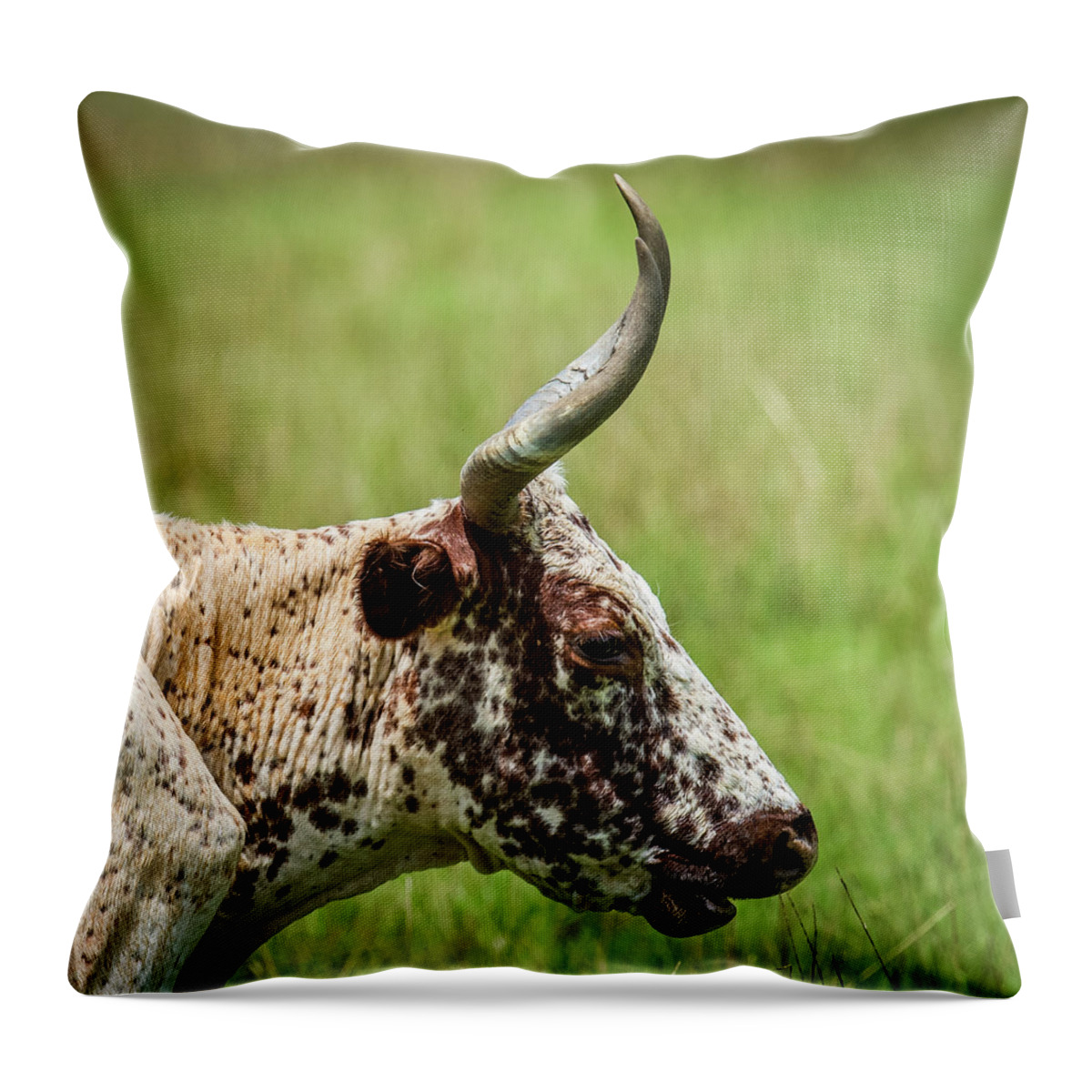 Long Horn Steer Throw Pillow featuring the photograph Steer Portrait by Paul Freidlund