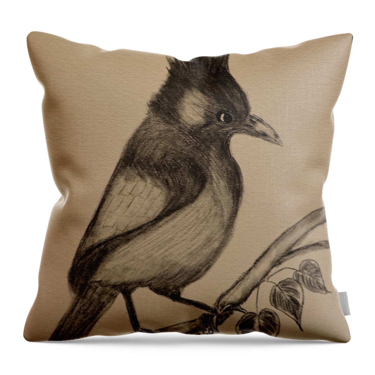 Stellar's Jay - Charcoal Throw Pillow featuring the drawing Stellar's Jay - Charcoal by Maria Urso