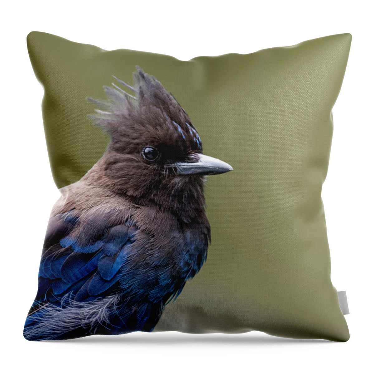 Steller's Jay Throw Pillow featuring the photograph Steller's Jay portrait by Kathy King