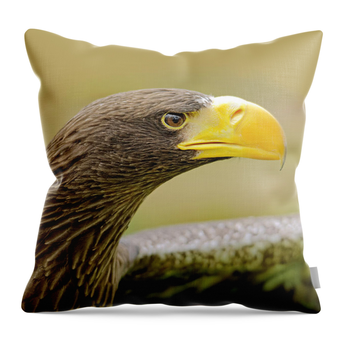 Britain Throw Pillow featuring the photograph Steller's Sea Eagle - Haliaeetus pelagicus by Rod Johnson