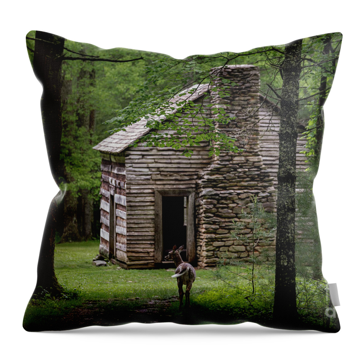 Cabin Throw Pillow featuring the photograph Step Back in Time by Andrea Silies