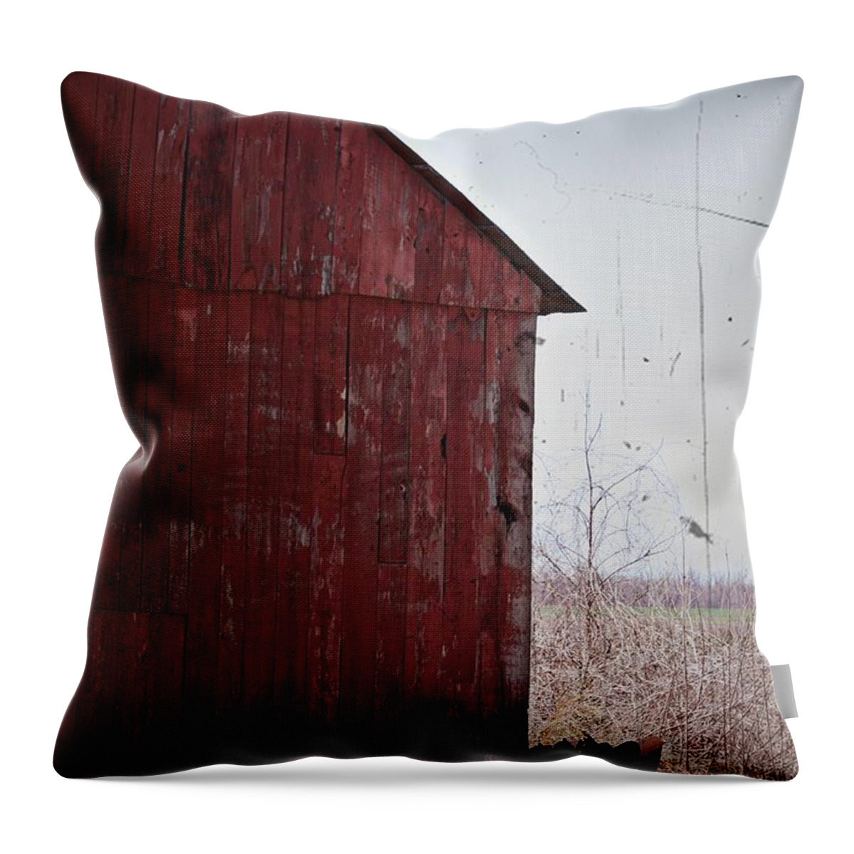 Barn Throw Pillow featuring the photograph Step Back In Time- Fine Art by KayeCee Spain