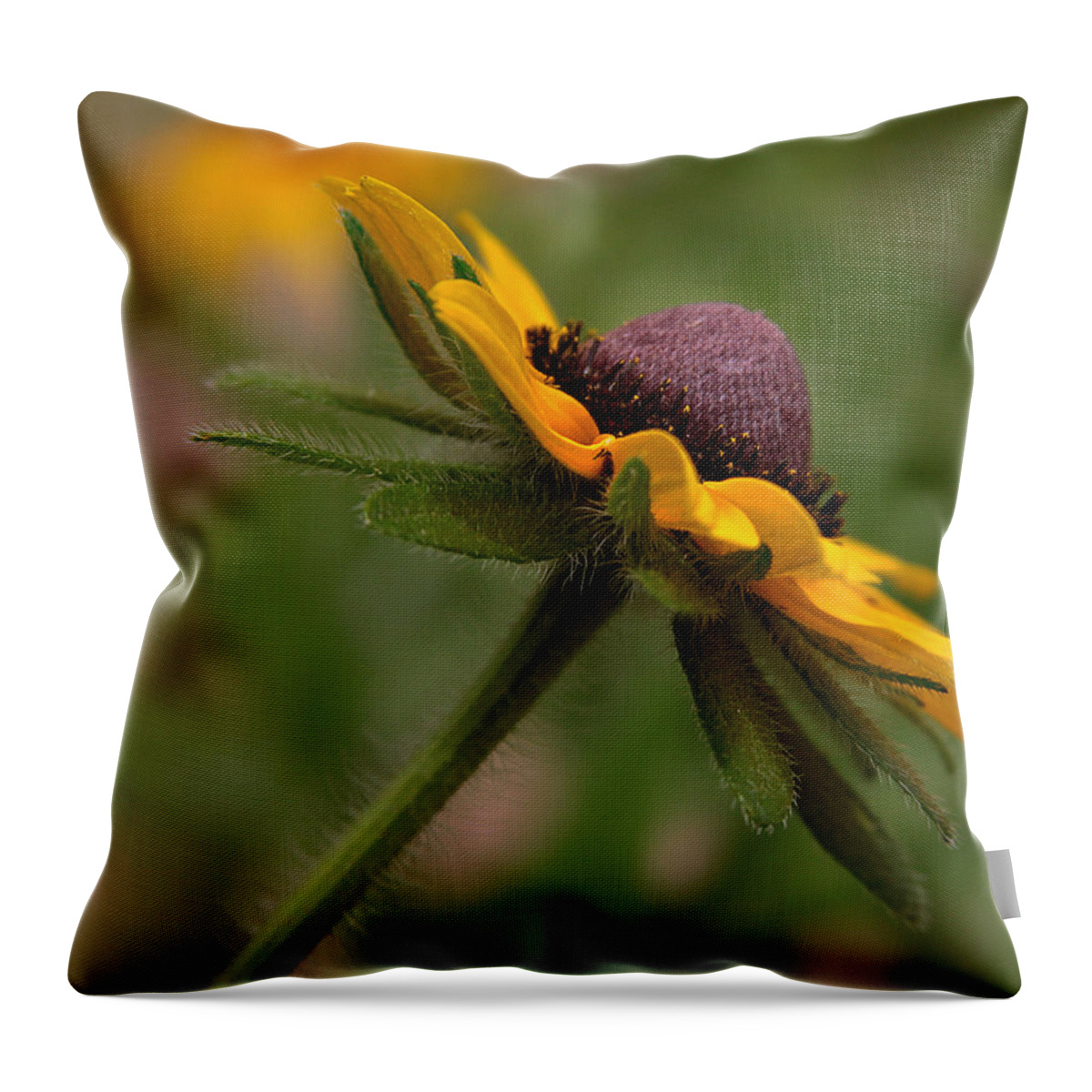  Throw Pillow featuring the photograph Steppin out by Tammy Espino