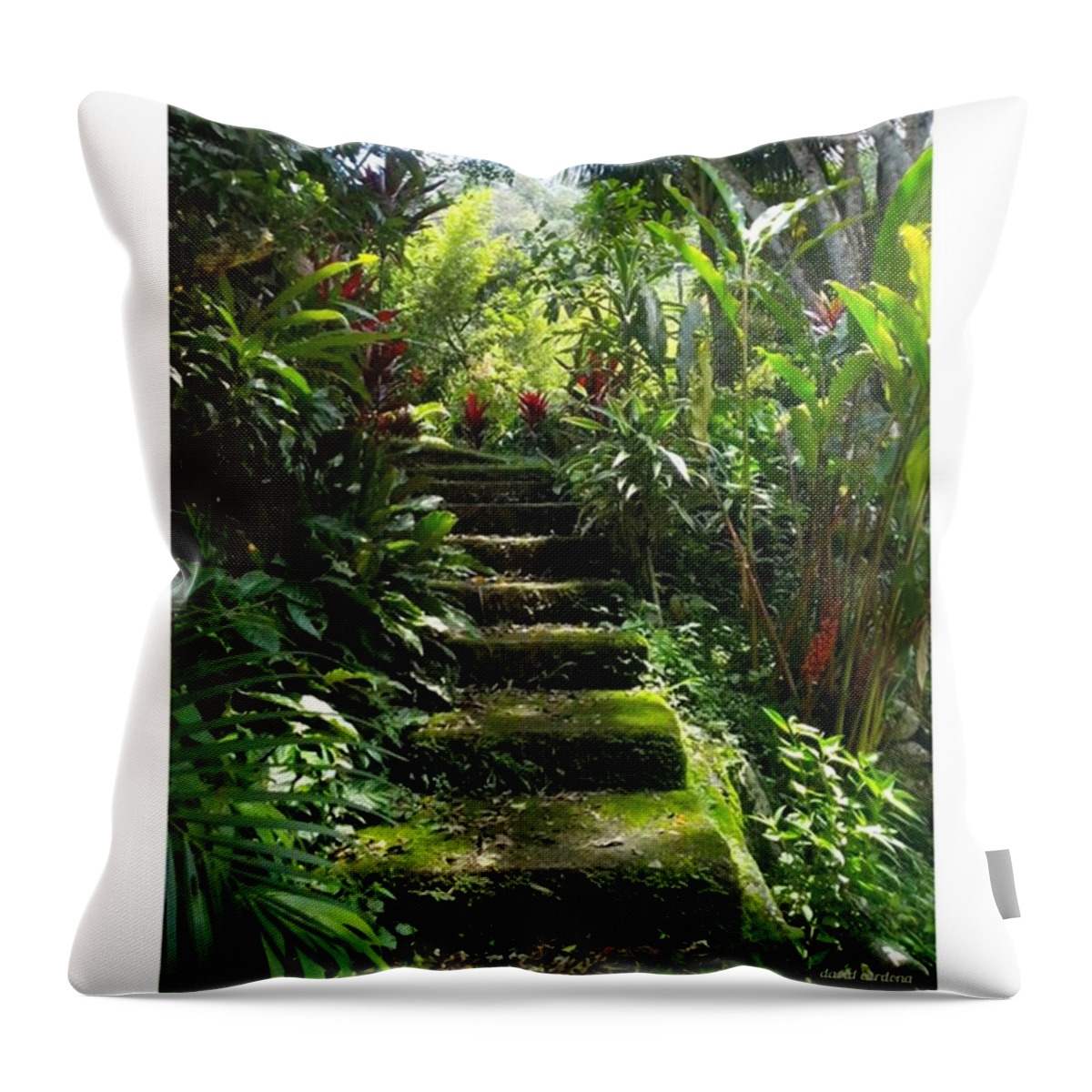 Mountains Throw Pillow featuring the photograph Steps Without Feet

from by David Cardona