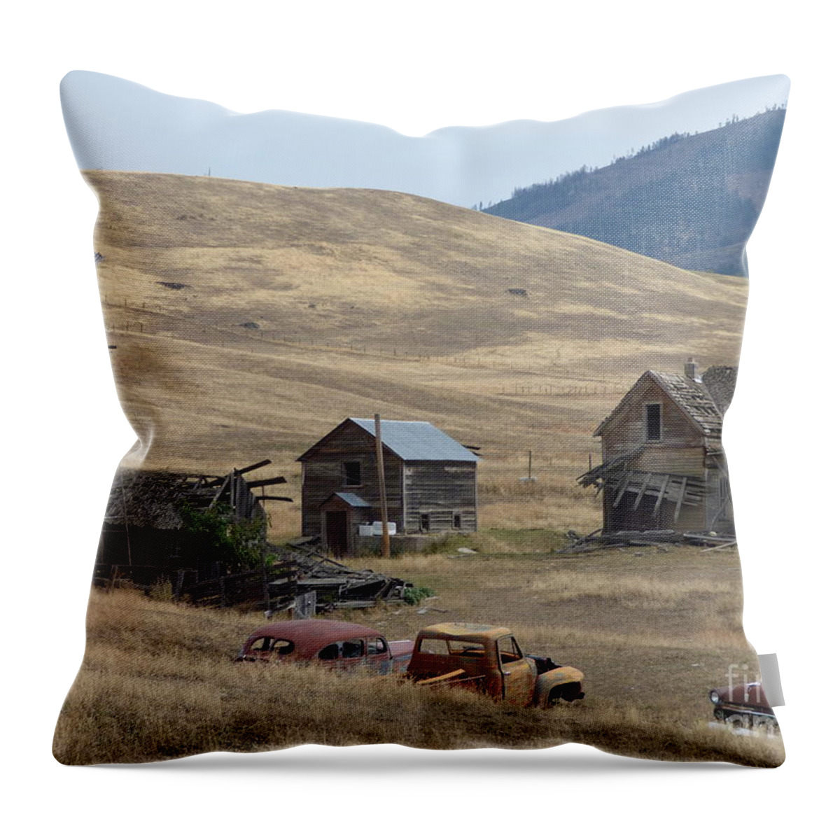 Stevens County Throw Pillow featuring the photograph Stevens County Homestead by Charles Robinson