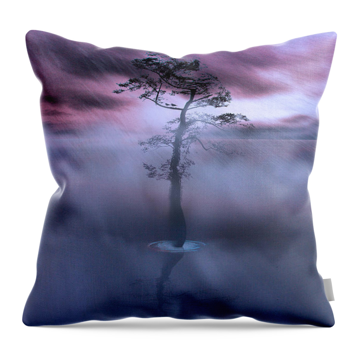 Landscape Throw Pillow featuring the photograph Stick Together the Storm Will Pass by Gray Artus