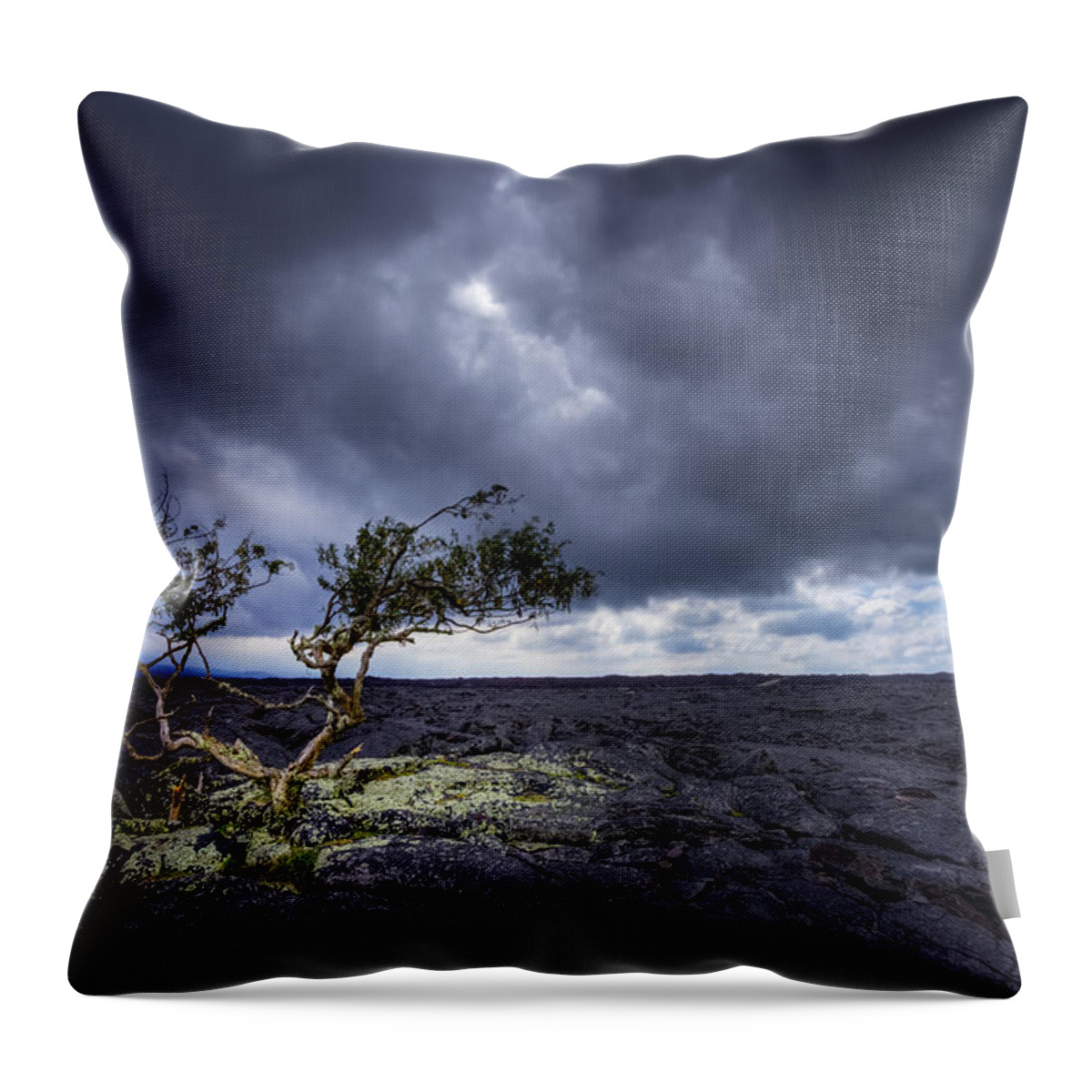 Hawaii Throw Pillow featuring the photograph Still Fighting by Dan Mihai