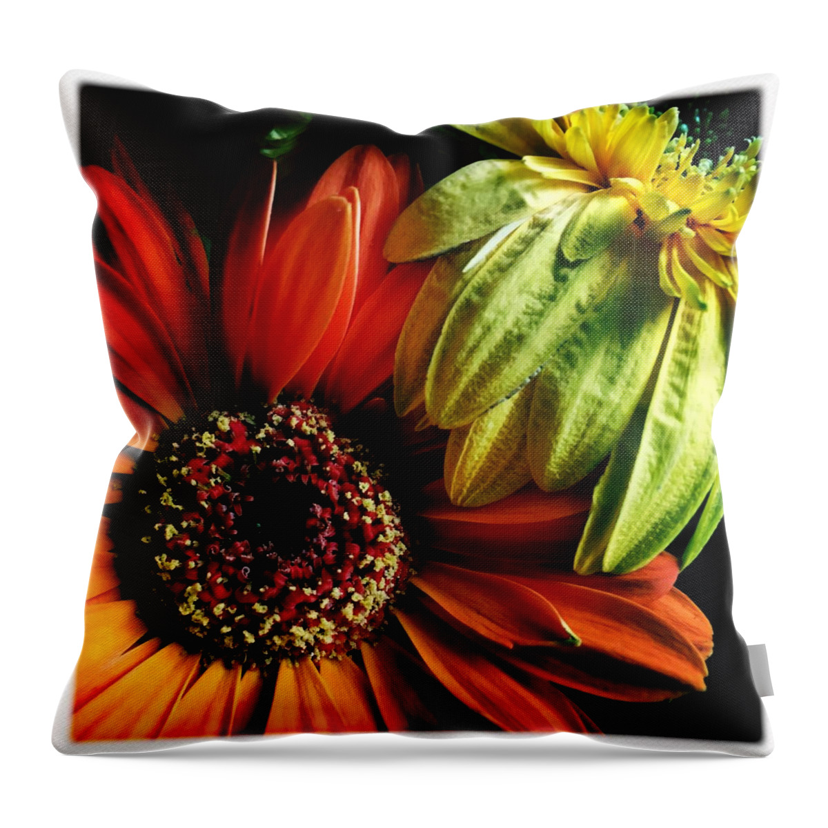 Flowers Throw Pillow featuring the photograph Still Life by Anne Thurston