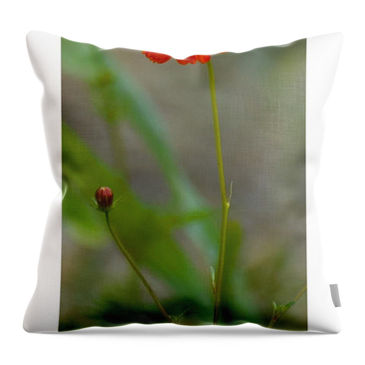  Throw Pillow featuring the photograph Still Life in Madrid by R Thomas Berner