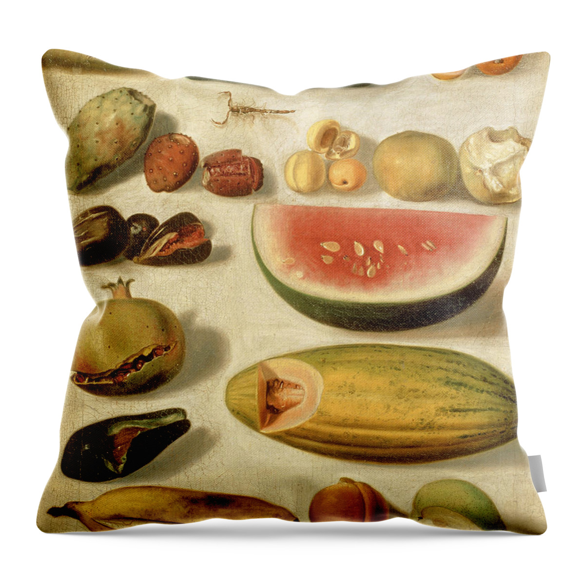 Hermenegildo Bustos Throw Pillow featuring the painting Still life with fruit with scorpion and frog by Hermenegildo Bustos