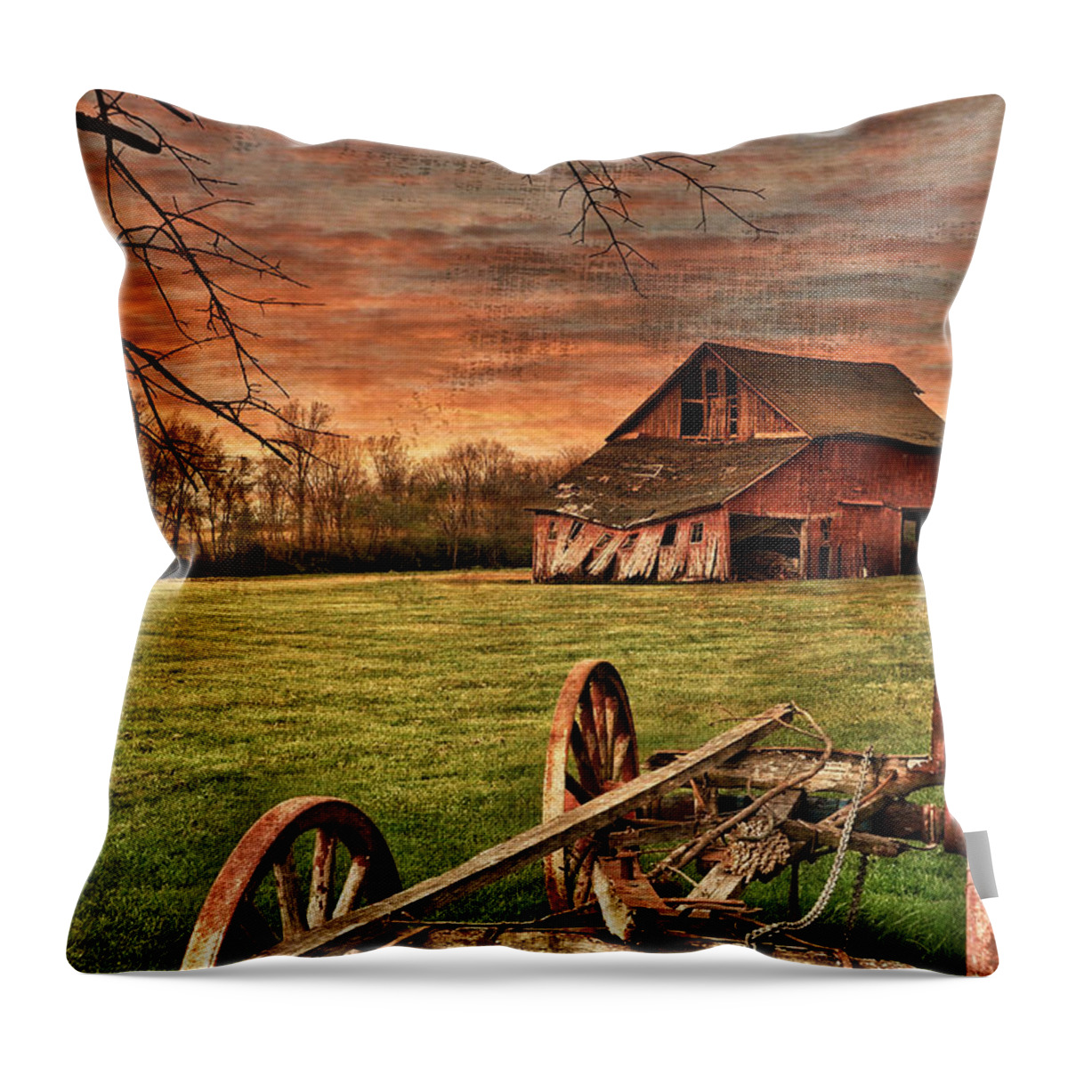 Barn Throw Pillow featuring the photograph Still Standing by Andrea Platt