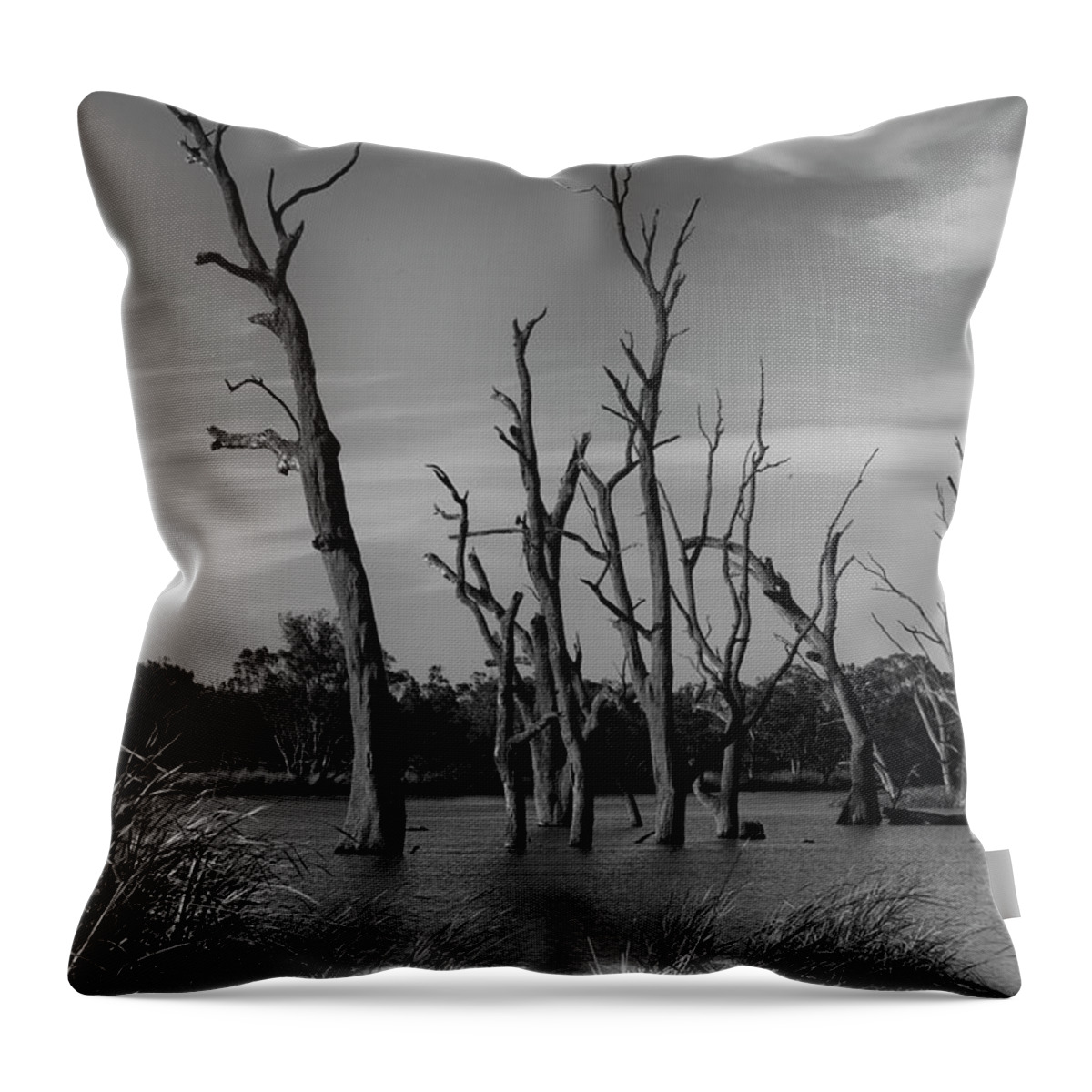 Tree Throw Pillow featuring the photograph Still standing V2 by Douglas Barnard