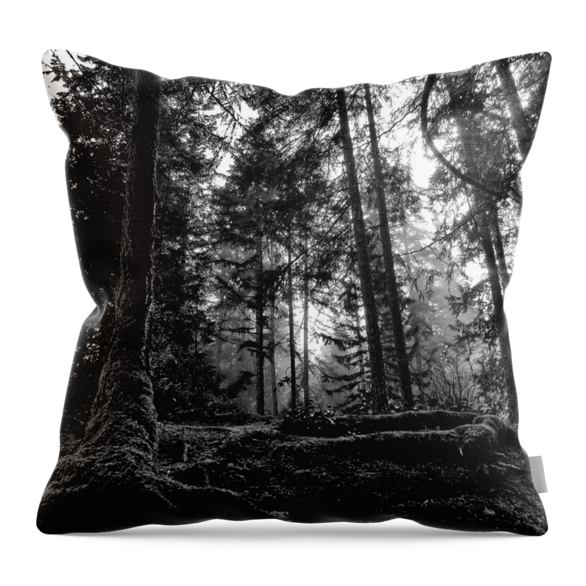 Connie Handscomb Throw Pillow featuring the photograph Stillpoint by Connie Handscomb