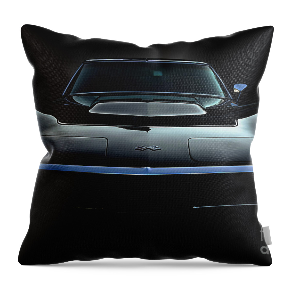 Transportation Throw Pillow featuring the photograph Stingray by Dennis Hedberg