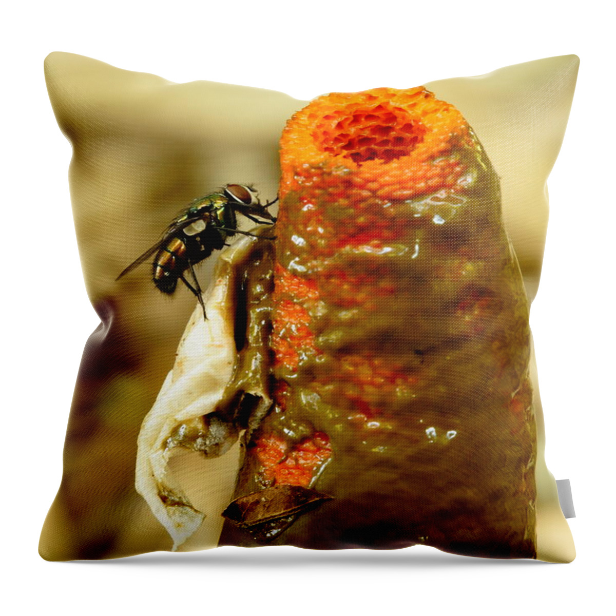 Mutinus Elegans Throw Pillow featuring the photograph Tip Of Stinkhorn Mushroom With Fly by Daniel Reed