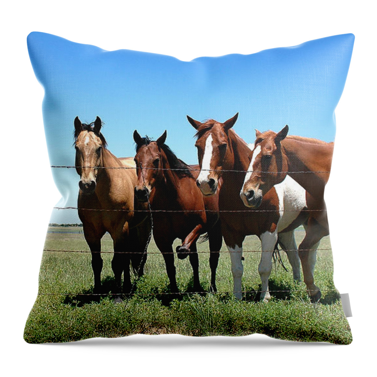 Horses Throw Pillow featuring the photograph Stompin' Flies by Karen Slagle