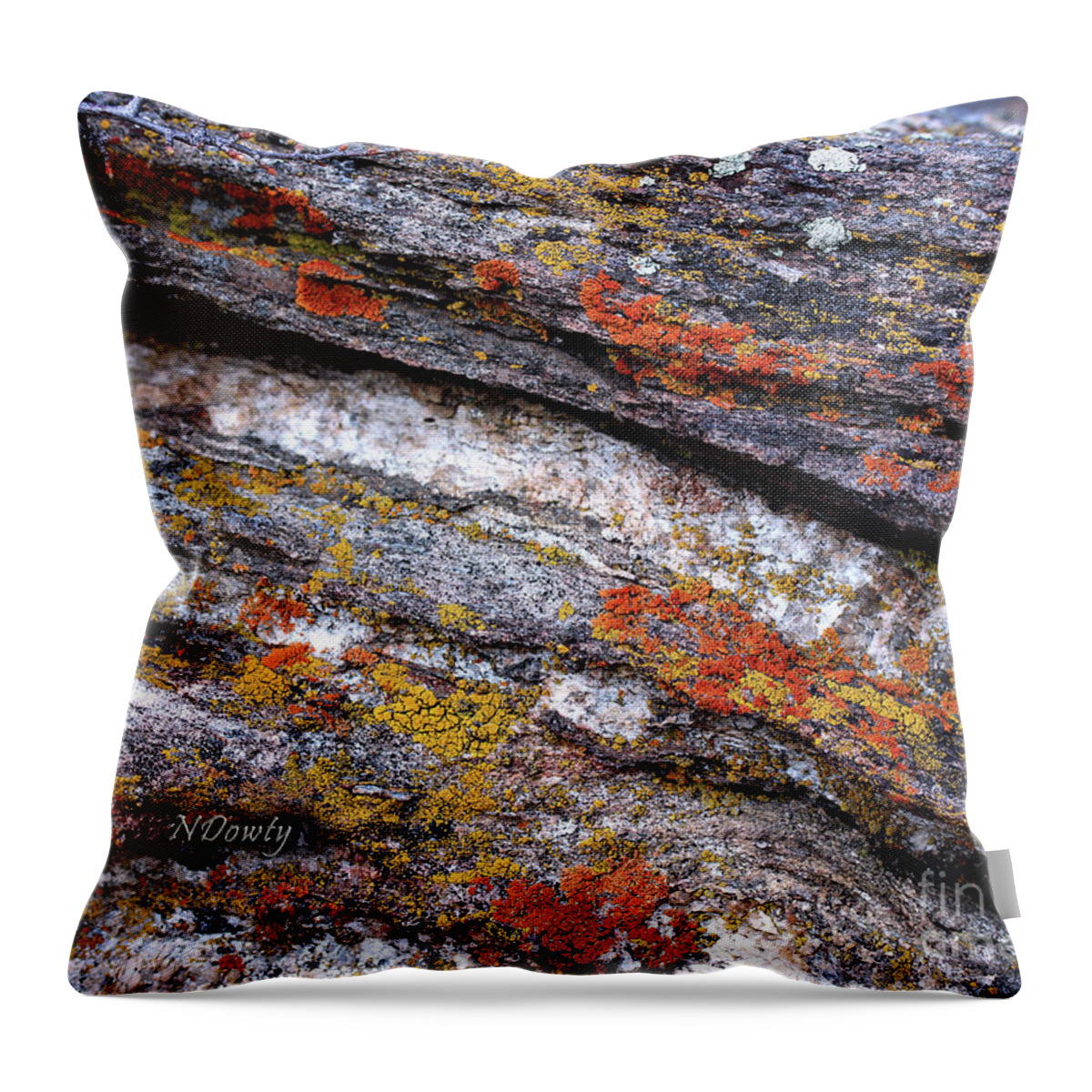 Stone And Lichen Throw Pillow featuring the photograph Stone and Lichen by Natalie Dowty