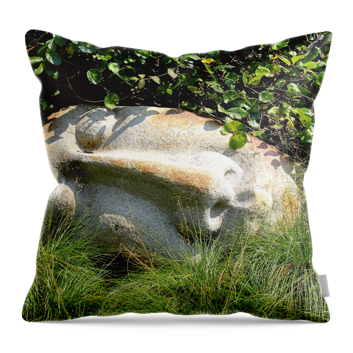 Statuary Throw Pillow featuring the photograph Stone-faced by Deborah Crew-Johnson