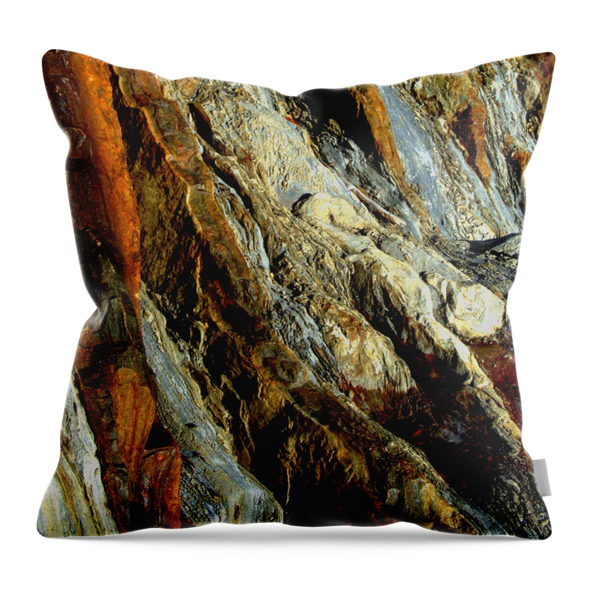Rock Throw Pillow featuring the photograph Stone History by Donna Blackhall