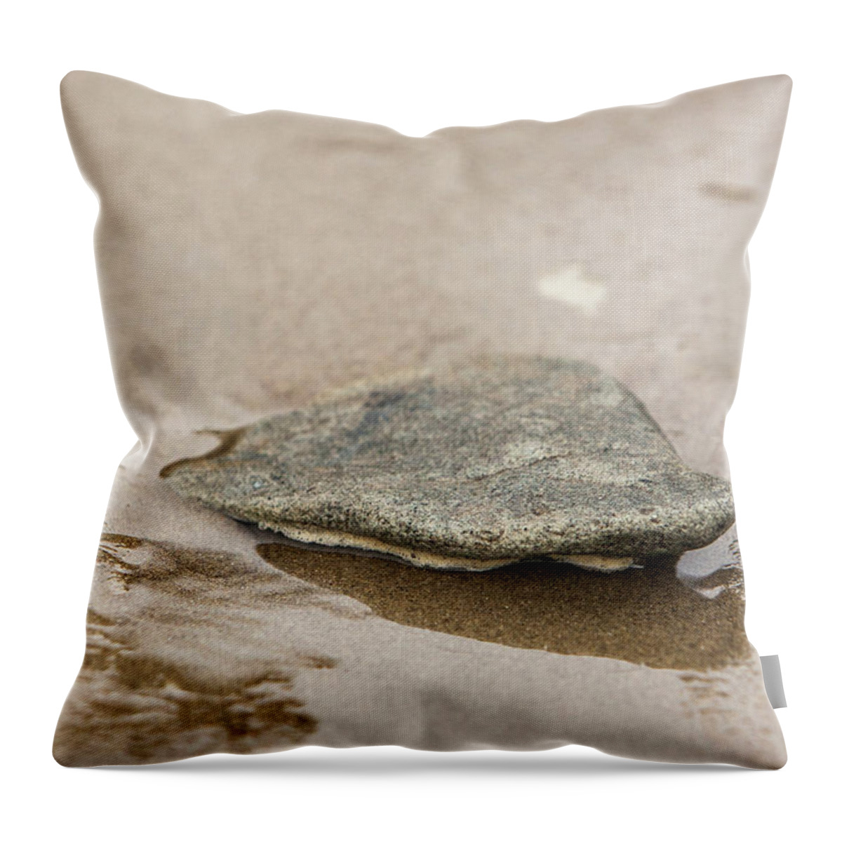 Stone Throw Pillow featuring the photograph Stone in the sand 2 by Jason Hughes