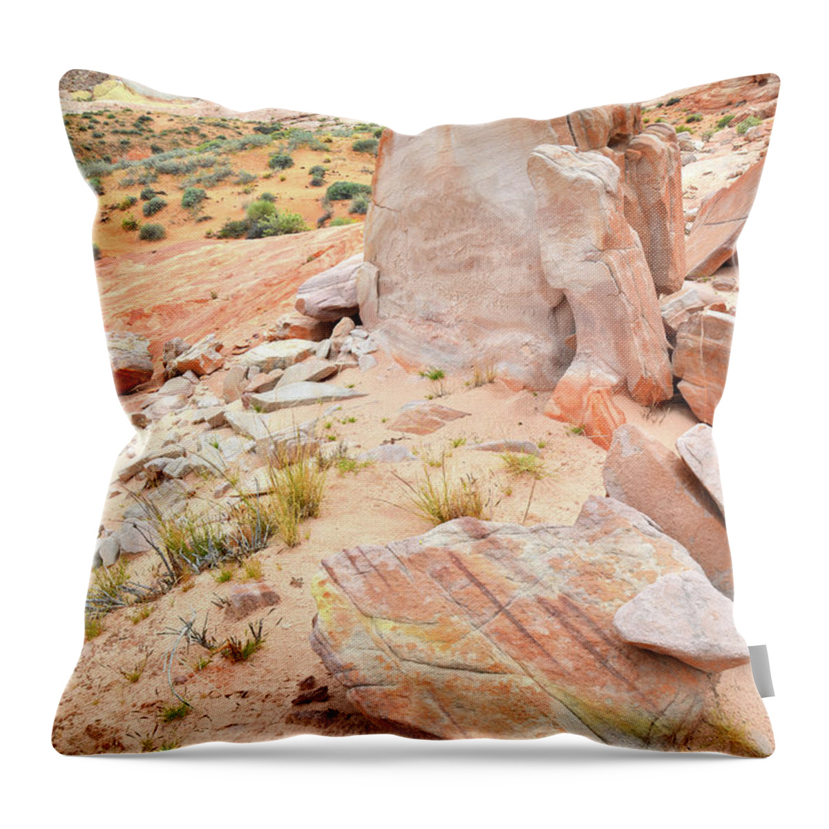 Valley Of Fire State Park Throw Pillow featuring the photograph Stone Tablet in Valley of Fire by Ray Mathis