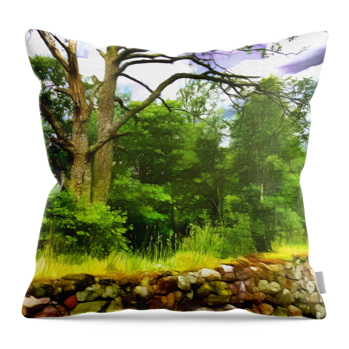 Stone Throw Pillow featuring the photograph Stone Wall in Glencoe by Judi Bagwell
