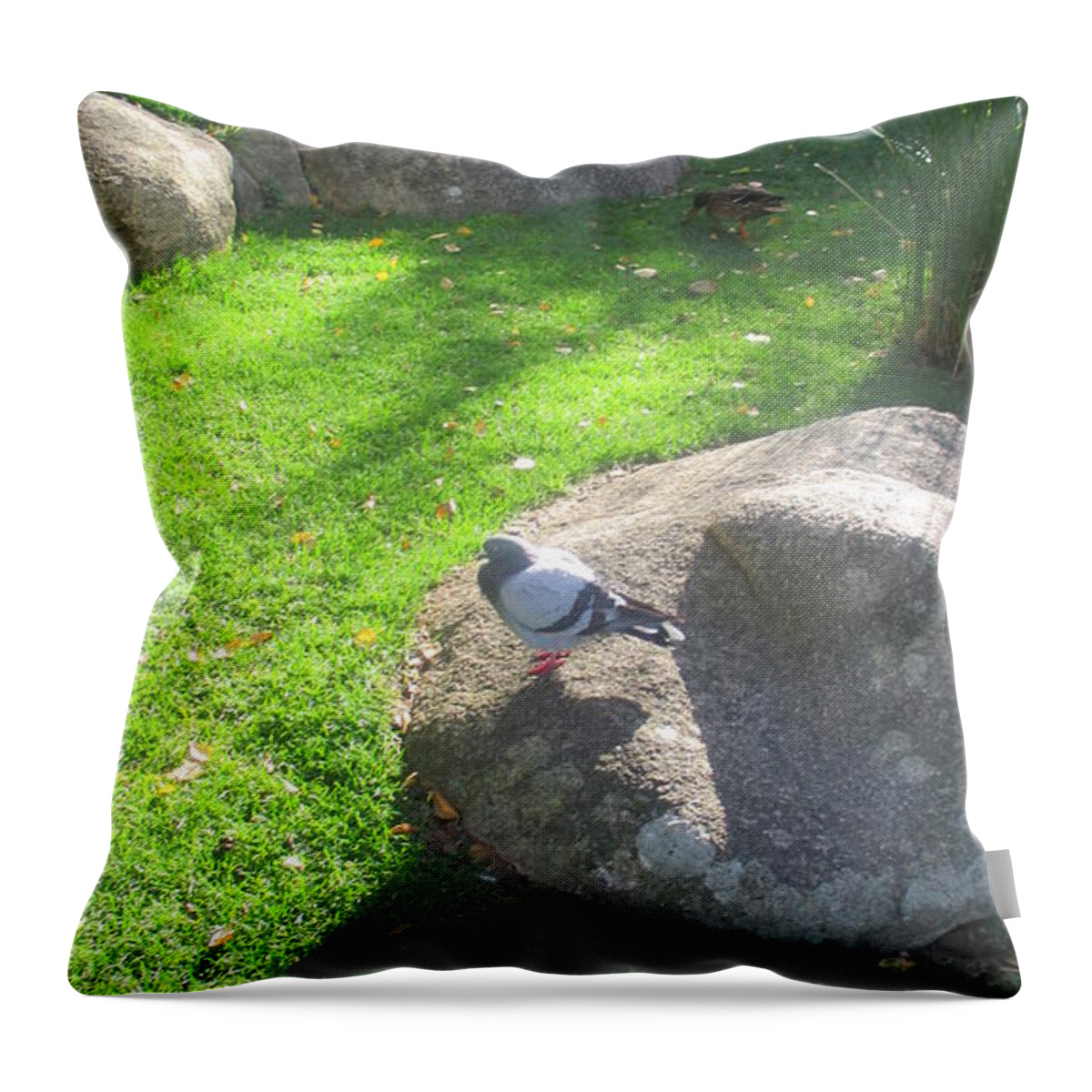 Spring Throw Pillow featuring the photograph Stones in the Gulbenkian Foundation Park in Lisbon by Anamarija Marinovic
