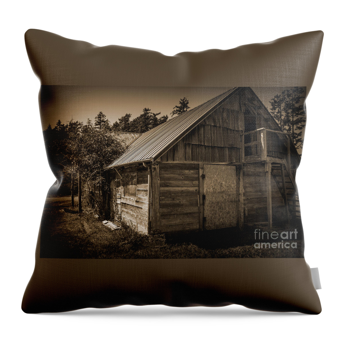 Storage-shed Throw Pillow featuring the photograph Storage Shed In Sepia by Kirt Tisdale