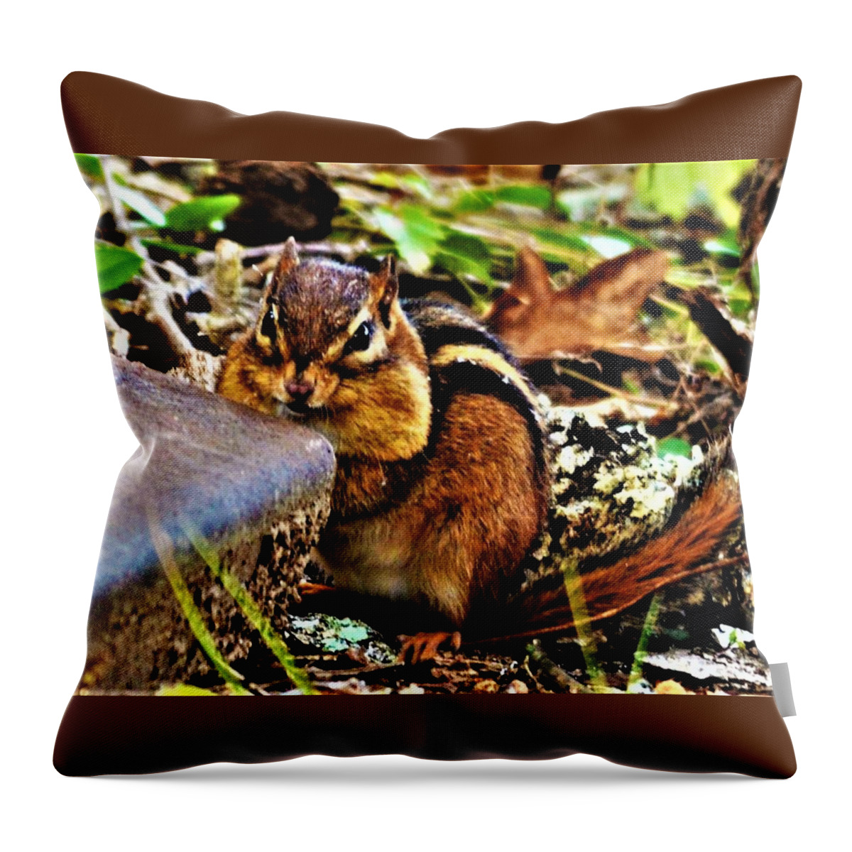 Chipmunk Throw Pillow featuring the photograph Storing for Winter by Chuck Brown