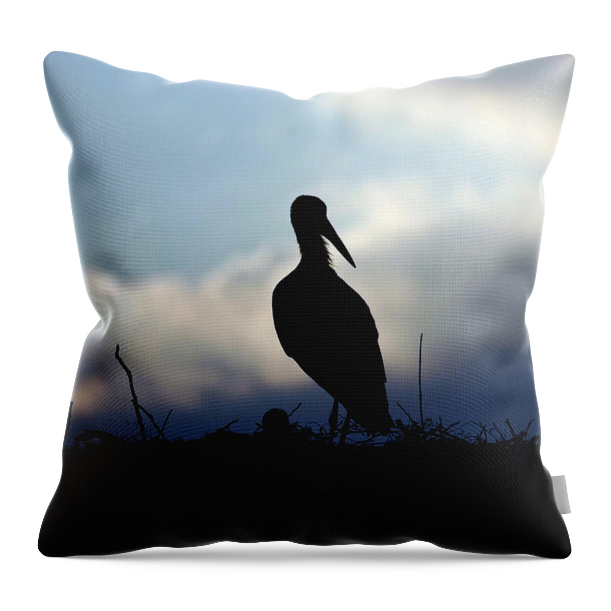 Stork Throw Pillow featuring the photograph Stork in evening light by Cliff Norton