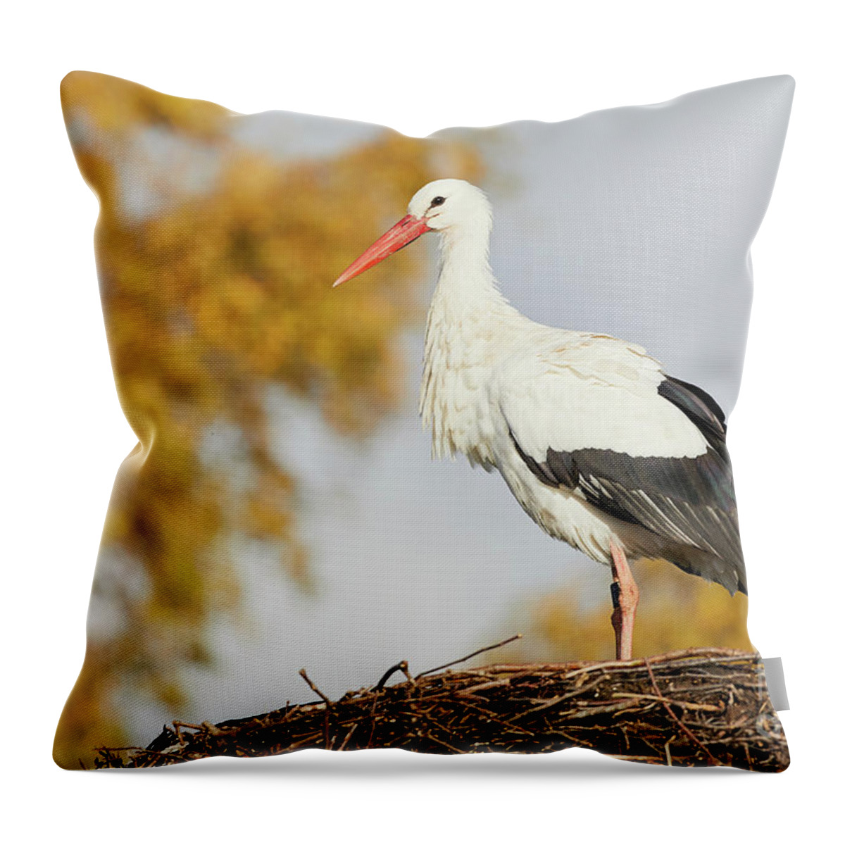 Environment Throw Pillow featuring the photograph Stork on a nest, trees in the background by Nick Biemans