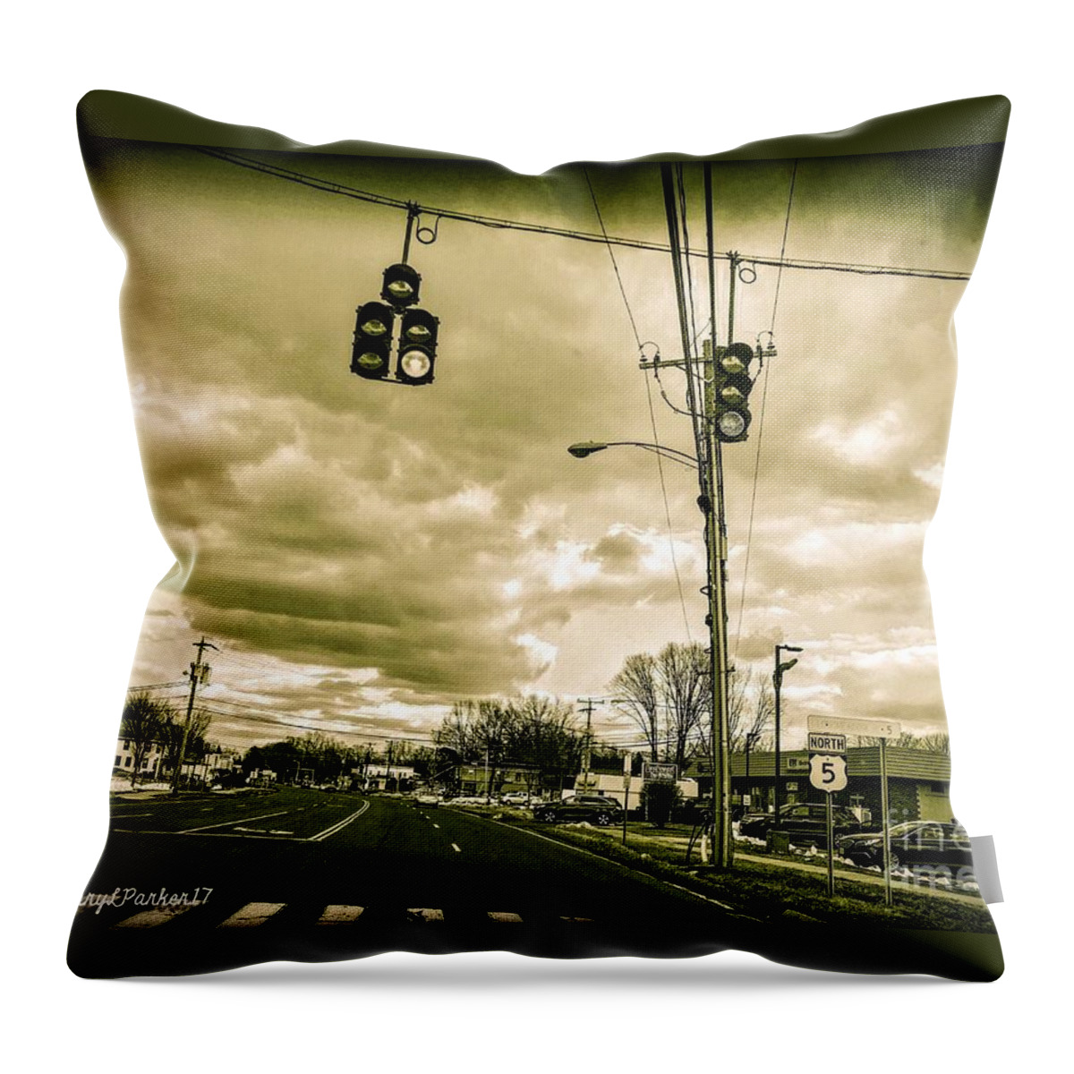 Strom Throw Pillow featuring the photograph Storm Coming by MaryLee Parker