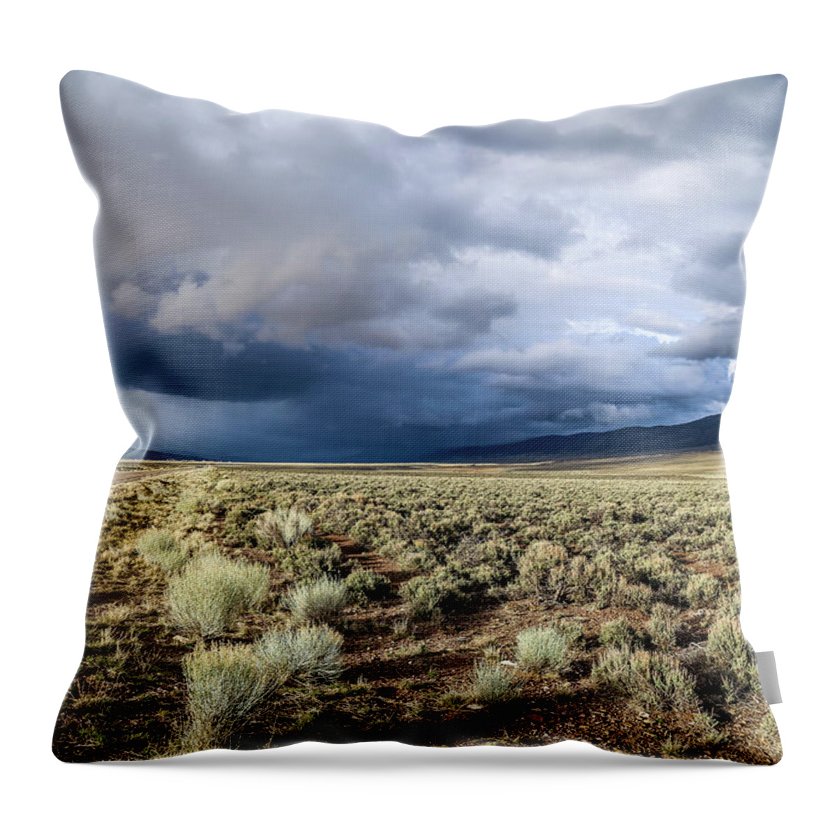 Usa Throw Pillow featuring the photograph Storm in Utah by Alberto Zanoni