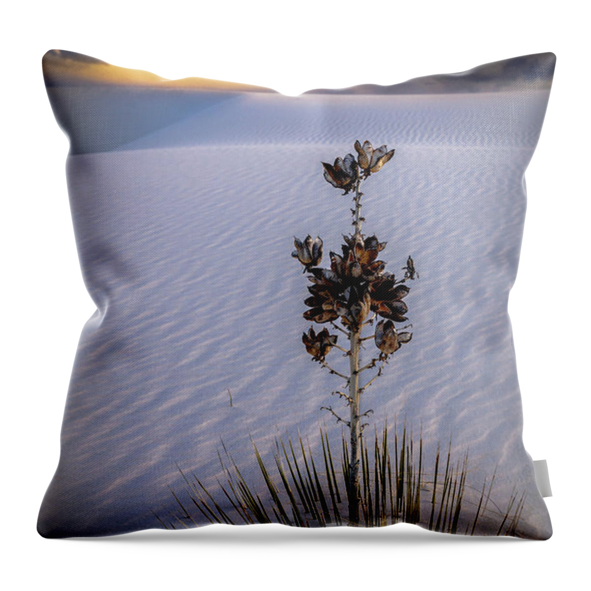 South-west Throw Pillow featuring the photograph Storm light at White Sands by Tim Bryan