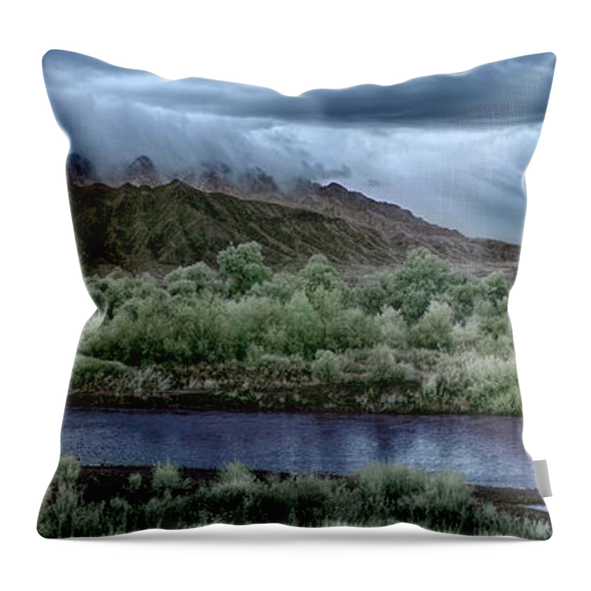 Landscape Throw Pillow featuring the photograph Storm Over the Sandias by Michael McKenney