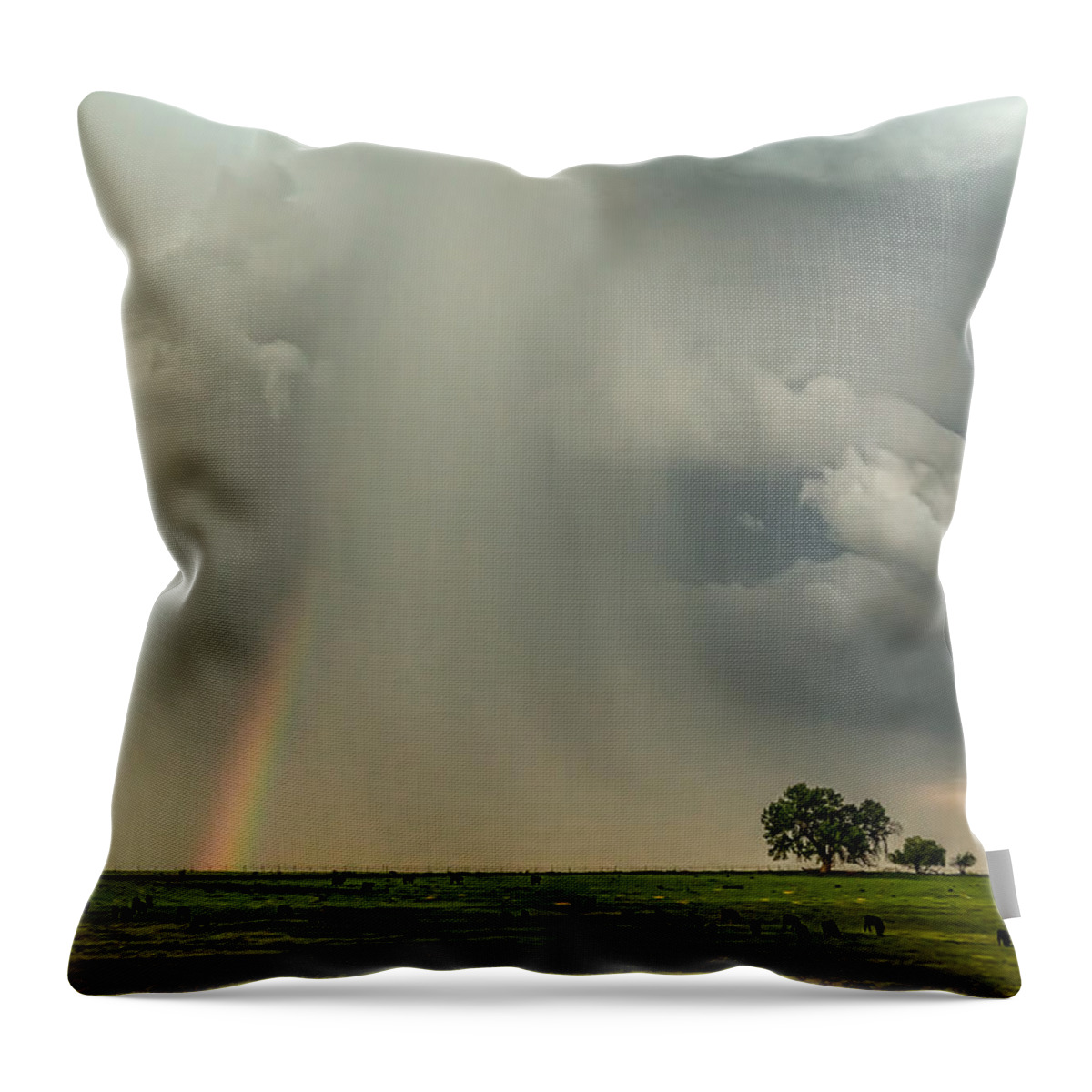 Rainbow Throw Pillow featuring the photograph Stormin Rainbow by James BO Insogna